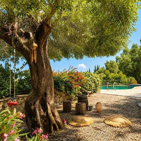 Villa 'villa Elissavet' - Kalami Bay - Family Pool House Gimari